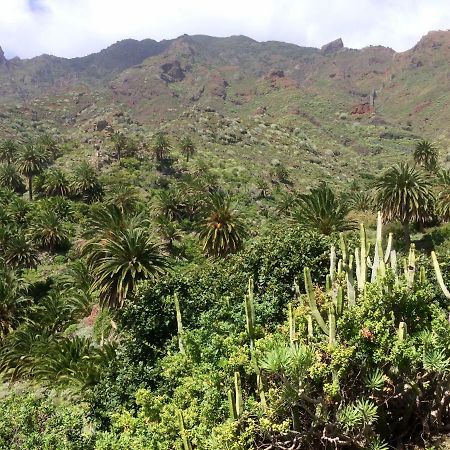 Apt. Lourdes, Close To The Teresitas & Anaga San Andrés المظهر الخارجي الصورة