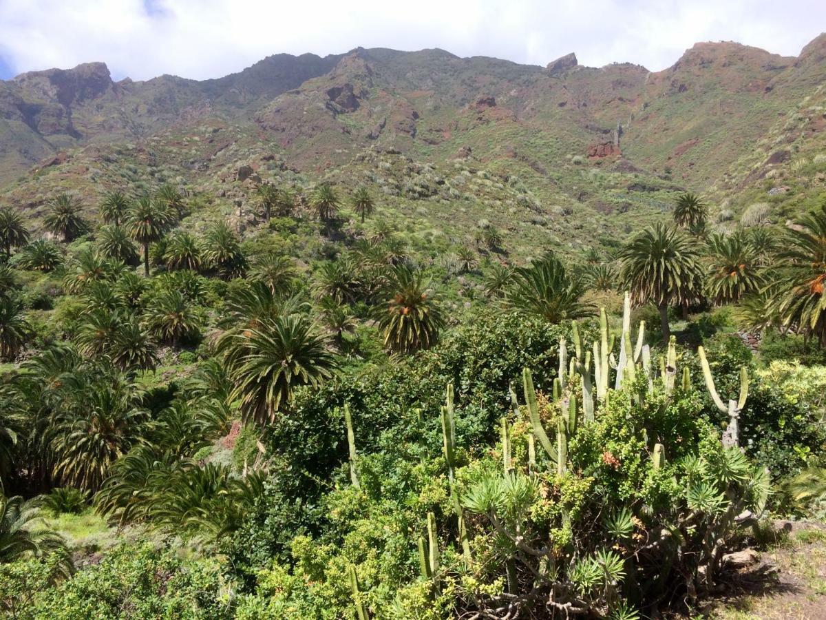 Apt. Lourdes, Close To The Teresitas & Anaga San Andrés المظهر الخارجي الصورة
