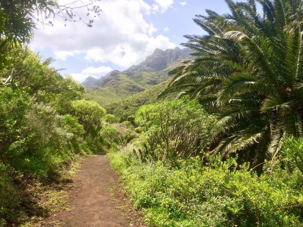 Apt. Lourdes, Close To The Teresitas & Anaga San Andrés المظهر الخارجي الصورة